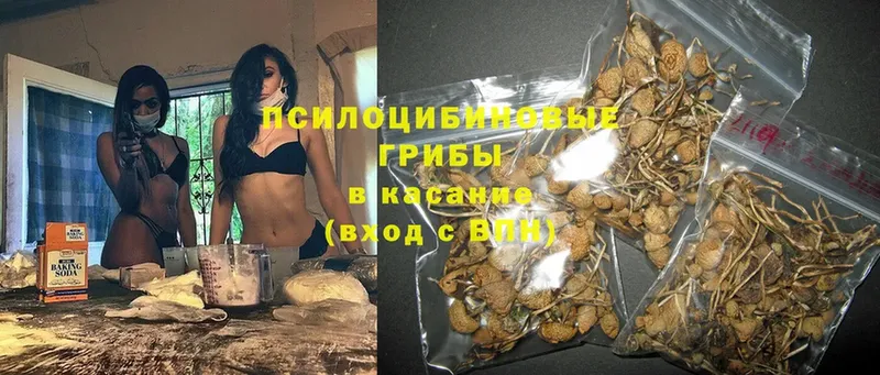 Галлюциногенные грибы MAGIC MUSHROOMS  Балей 